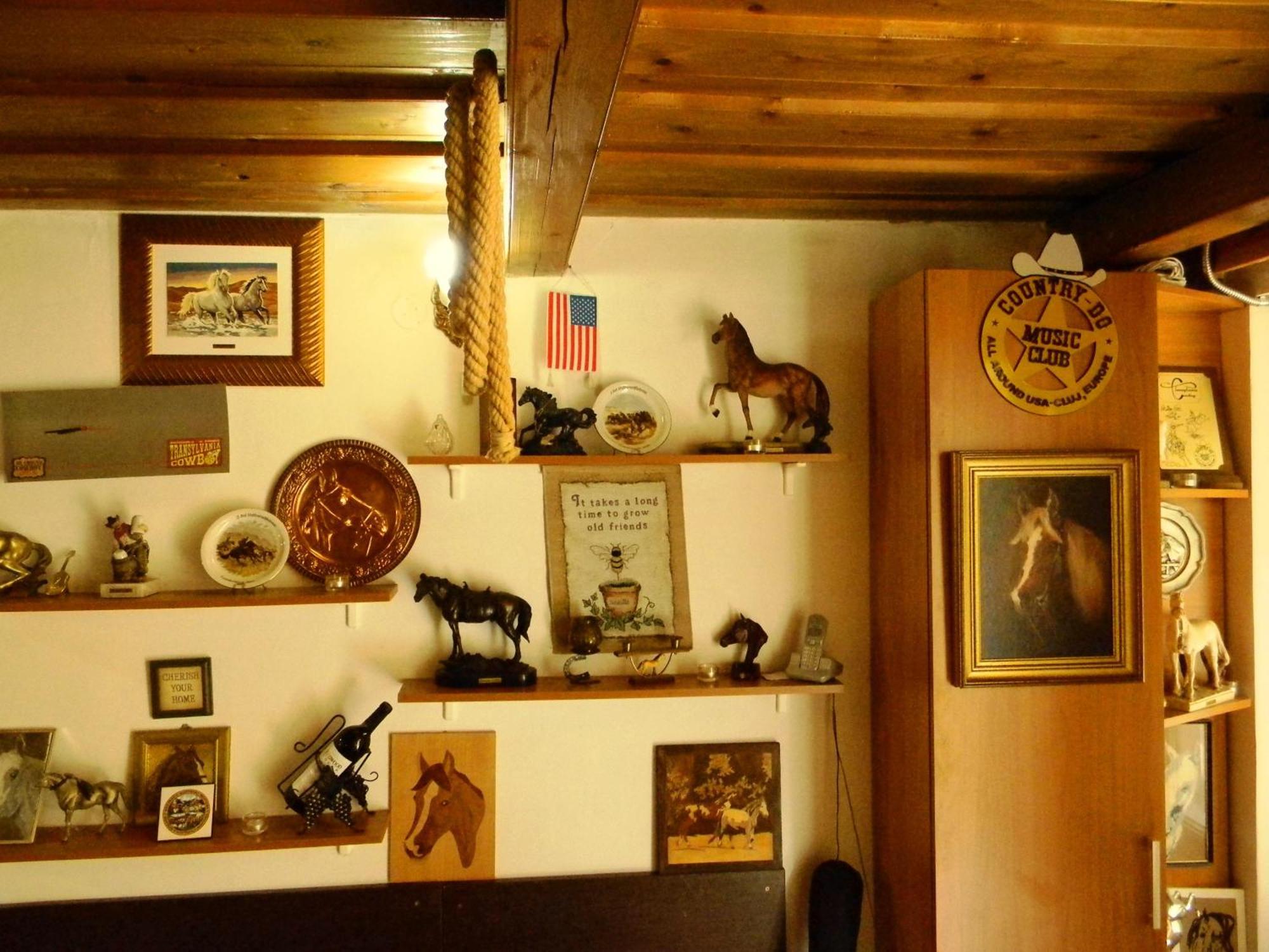 Transylvania Cowboy Cottage Cluj-Napoca Exterior photo