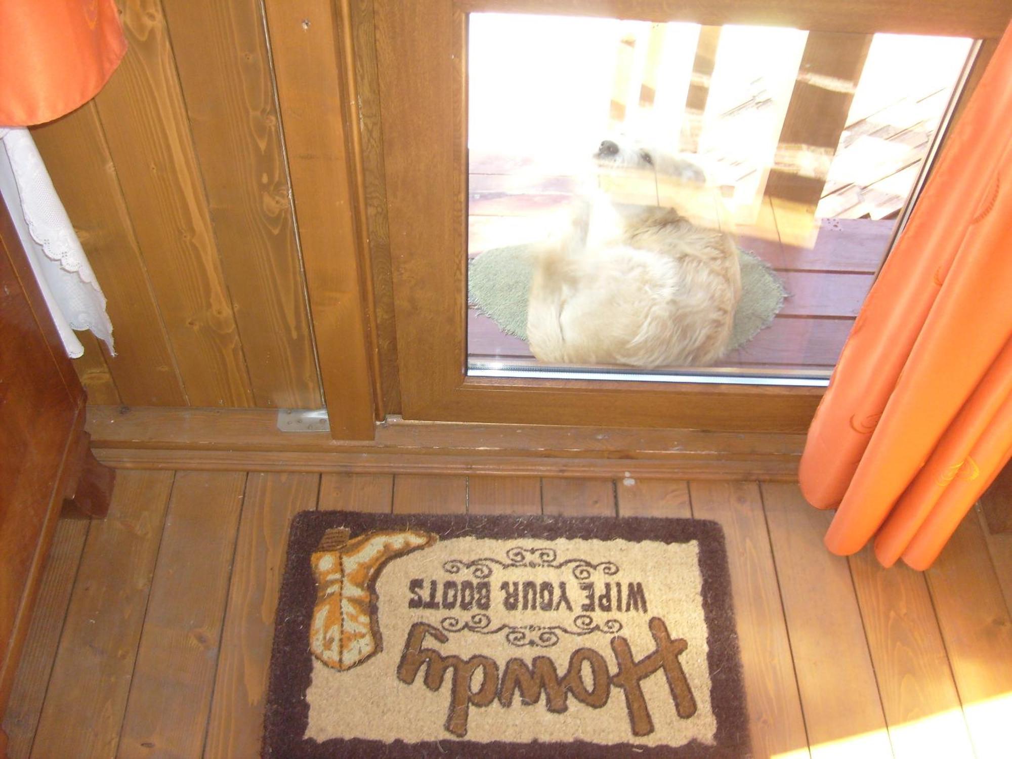 Transylvania Cowboy Cottage Cluj-Napoca Exterior photo